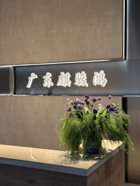 КИТАЙ FOSHAN QIJUNHONG PLASTIC PRODUCTS MANUFACTORY CO.,LTD Профиль компании